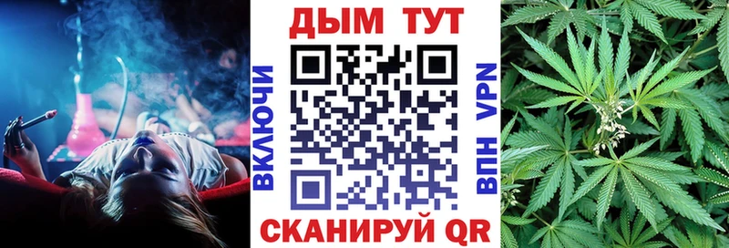 Каннабис планчик  Прохладный 